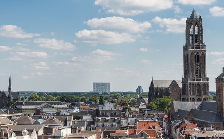 Reference Explorer Line